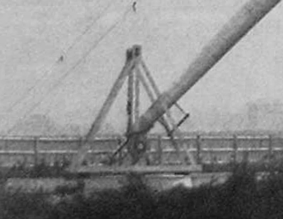 Dolly shown in Diamond's photograph