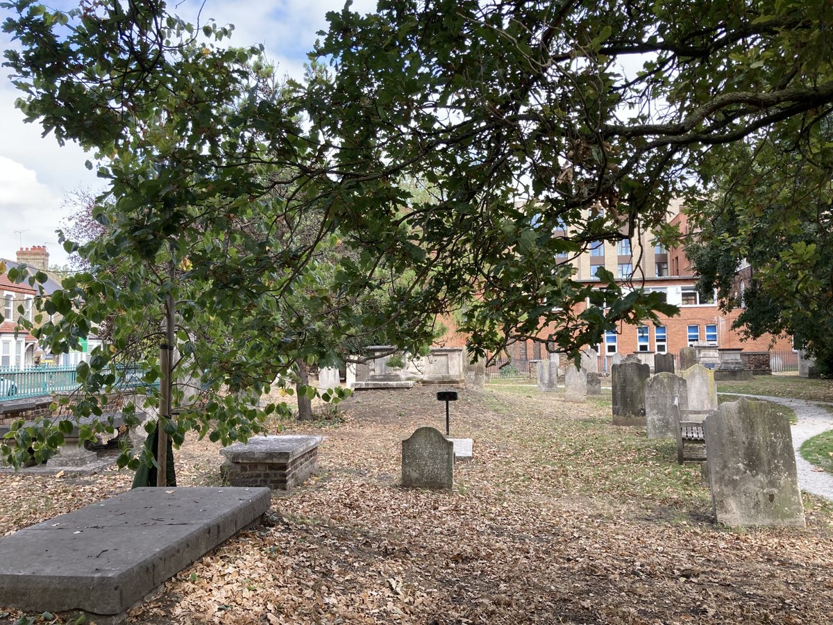 The Vanderhoven and Grolleau headstone in its setting in the Huguenot Burial Ground, Mount Nod, 2026