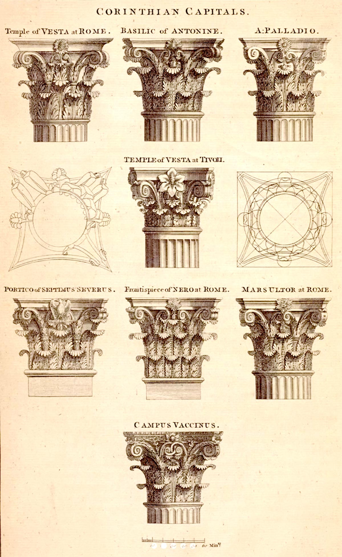 Paul Fourdrinier engravings of Corinthian capitals