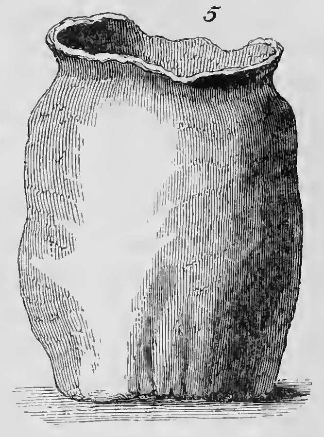 Sepulchral urn dug up on Kingston hill (Brayley, No. 5)