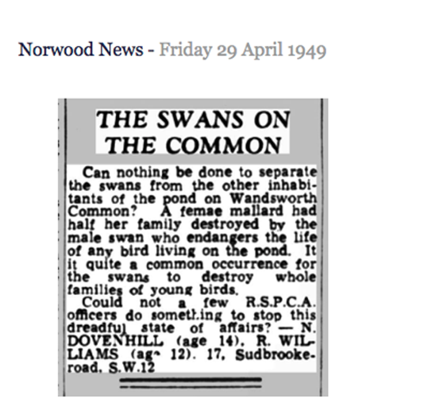 Norwood News, 29 April 1949: The Swans on the Common