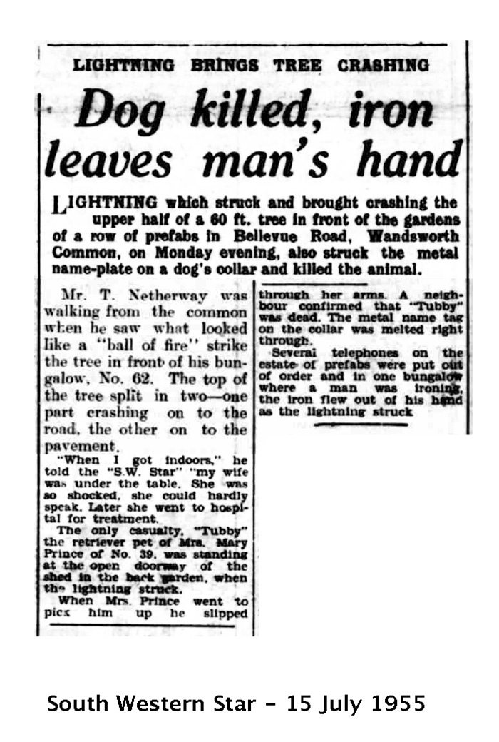 South Western Star, 15 July 1955: Dog killed, iron leaves man's hand